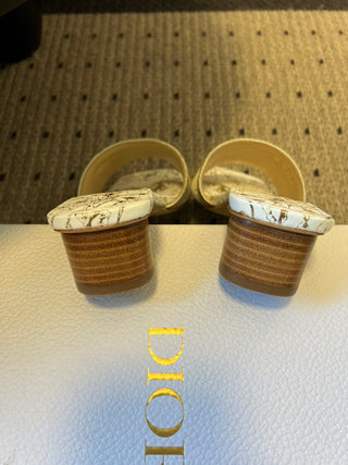 26ss early spring new arrival, 4cm heel height.