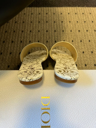 26ss early spring new flat shoes