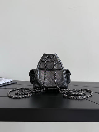 Chanel mini Space Silver Little Frog shoulder bag.